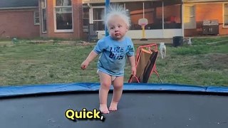 Toddler's Hair Goes Super Saiyan on Trampoline