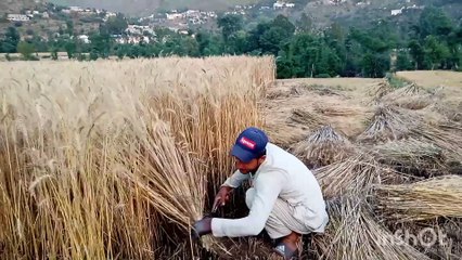 دغنمو لو شروع دے دعبید پہ زڑہ چینجی لگیادی