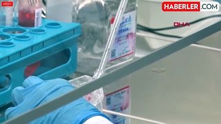 Çinli bilim insanları sahte Ebola virüsü geliştirdi! Bulaştığı kişileri 3 günde öldürüyor