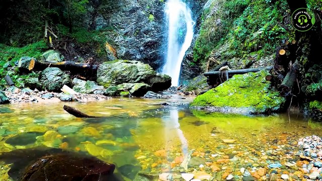 Peaceful Relaxing piano Music With Nature Sounds ｜ Music for Sleep and Stress Relief, Calming Music