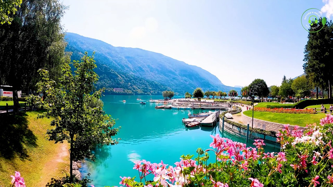 Relaxing Nature Sounds For Stress Relief, Peaceful Sleep Music, Heals The Mind, Stop Anxiety, ASMR