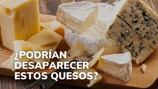 ¿Podrían desaparecer estos quesos?