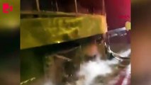 Seyir halindeki yolcu otobüsü alev alev yandı