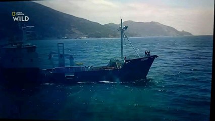 les hommes requins S01E03