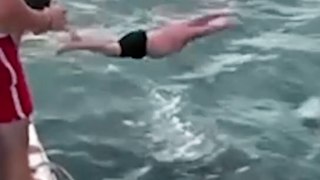 Mann springt ins Wasser, um Orca zu schlagen