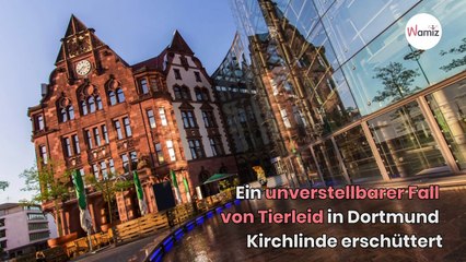 Vom Balkon tropfen Extremente: Als die Retter eintreffen, ist der Schock groß!