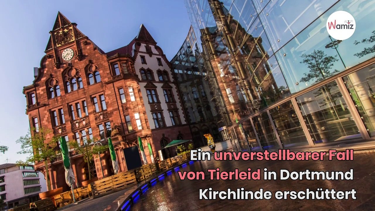 Vom Balkon tropfen Extremente: Als die Retter eintreffen, ist der Schock groß!