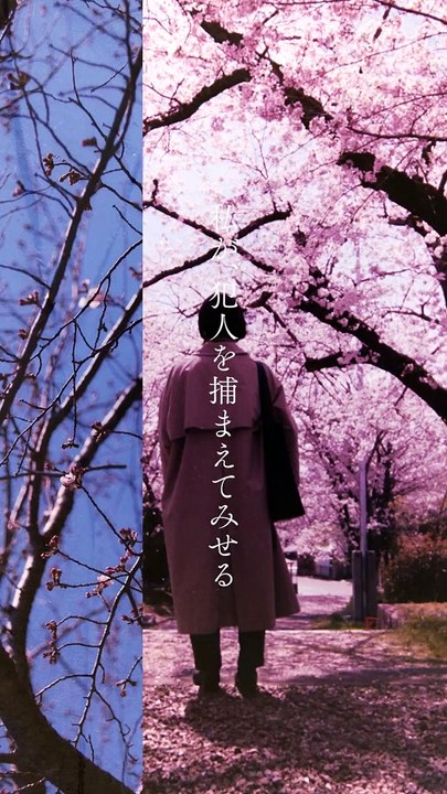 映画『朽ちないサクラ』キャラクター映像