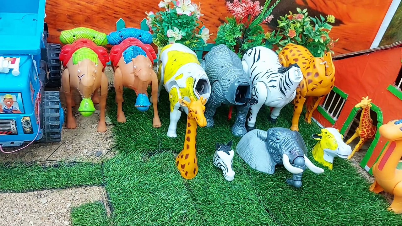 Cow Fun #2