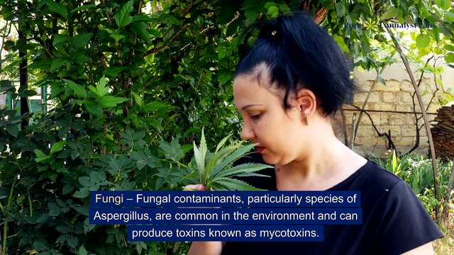 Ensuring Consumer Safety: The Role of Microbiological Testing