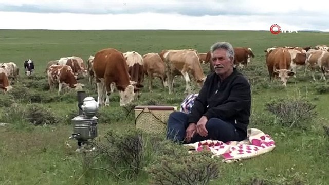 Kurbanlık seçmenin püf noktaları... İşin uzmanı açıkladı