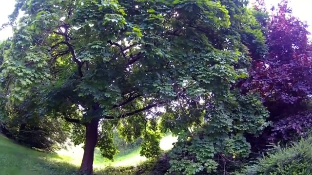 MUSIQUE POUR UNE BALLADE JOUE A LA GUITARE