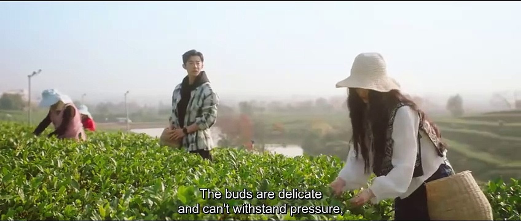 EP.4 Love in the Tea Garden (2024) ENGSUB