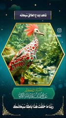 شاهد إبداع الخالق سبحانه وتعالى- الشيخ الدكتور عايض القرني