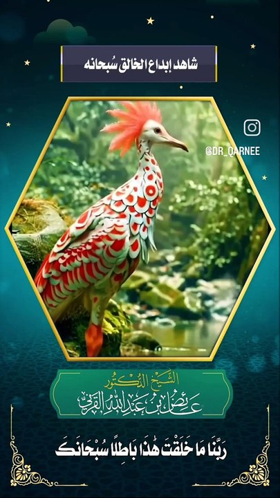 شاهد إبداع الخالق سبحانه وتعالى- الشيخ الدكتور عايض القرني