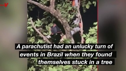 Parachutist Rescued From Tree In Brazil