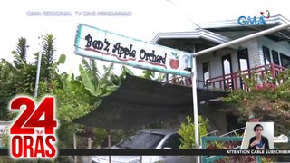 Mahigit 500 puno ng mansanas, napatubo at napabunga ng isang farm owner sa Davao del Sur | 24 Oras