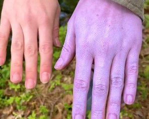 Survival hacks to make you feel safe in the wild!