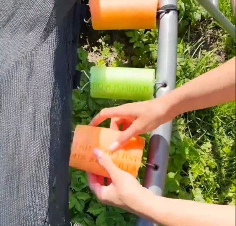 Unexpected ways how to use pool noodles! - video Dailymotion