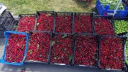 Tekirdağ kirazını ilk yağmurlar vurdu, mahsul az fiyat yüksek