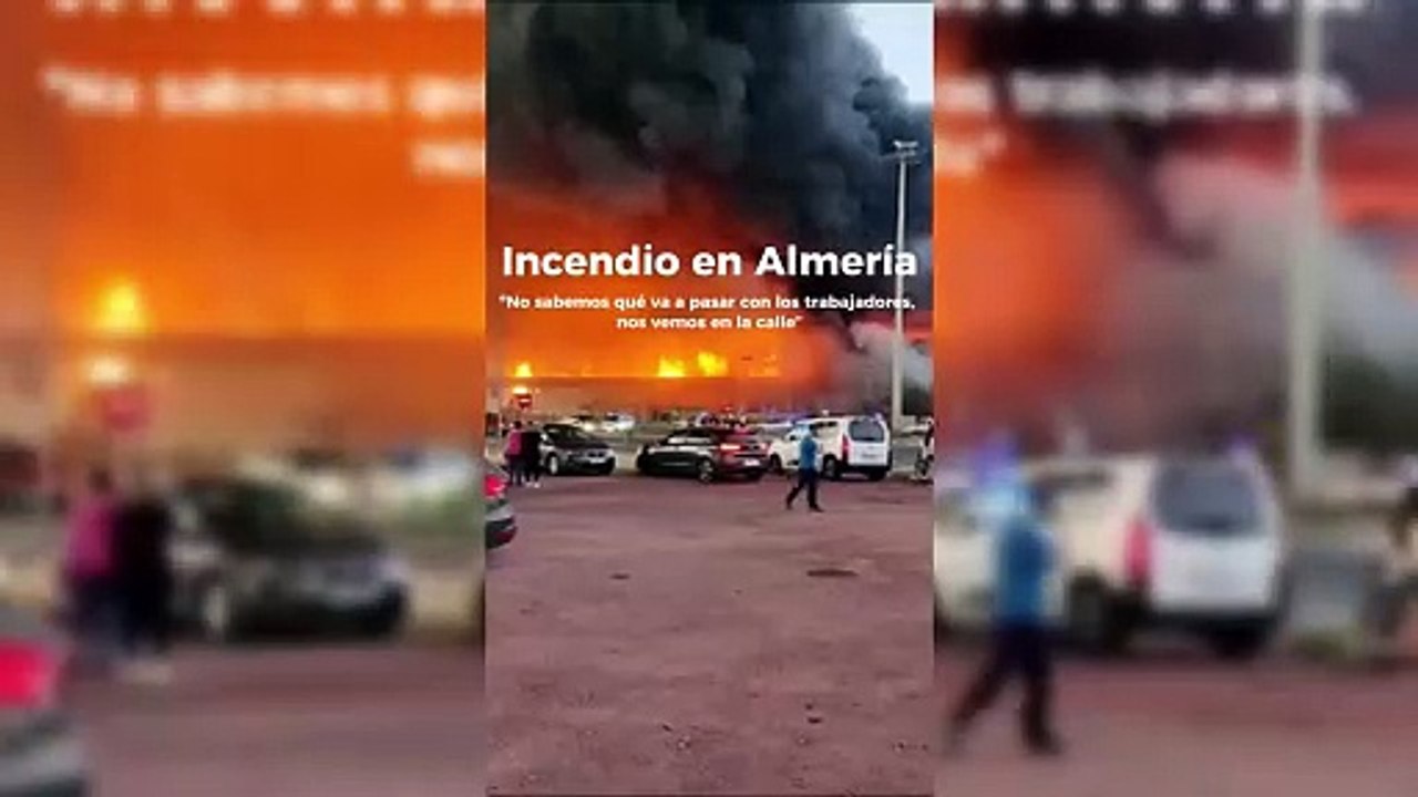 Incendio en Almería: el presidente de Mabe, la empresa hortofrutícola que ha sido calcinada, lamenta que “no sabemos qué va a pasar con los trabajadores, nos vemos en la calle”