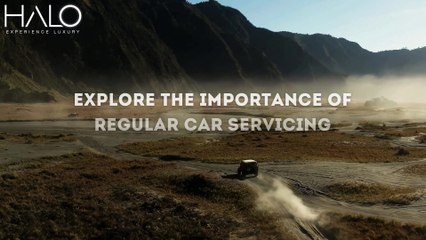 Explore The Importance Of Regular Car Servicing