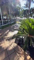 Hotel Riu Plaza Miami Beach