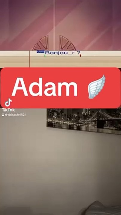Je vais double Adam dans Hazbin Hotel 
