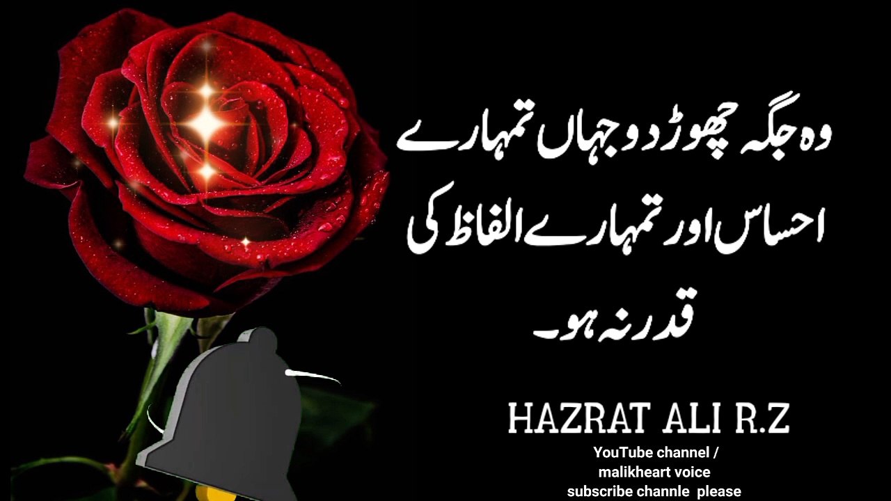Motivational quotes about life | golden words | hazrat ali quotes in urdu