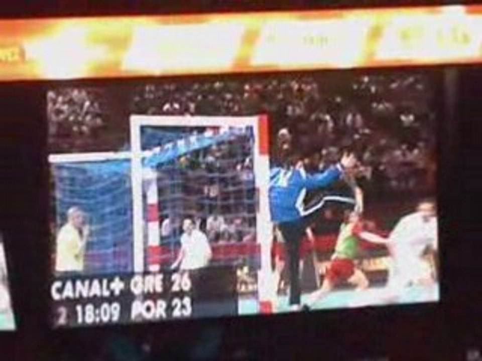 Handball magnifique kung-fu