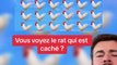 Vous voyez le rat ? (Exclu Dailymotion)