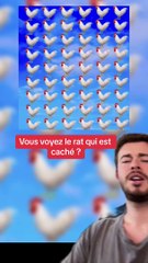 Vous voyez le rat ? (Exclu Dailymotion)