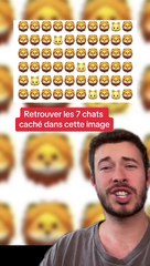 Trouve les 7 chats (Exclu Dailymotion)