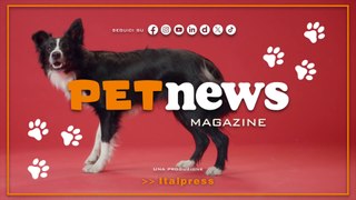 PetNews Magazine - 28/5/2024