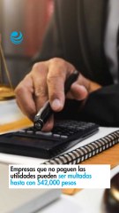 Empresas que no paguen las utilidades pueden ser multadas hasta con 542,000 pesos