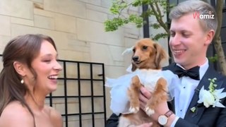 Elle garde la surprise jusqu'au jour J pour sa robe de mariée : il s'attendait à tout sauf à ça (vidéo)