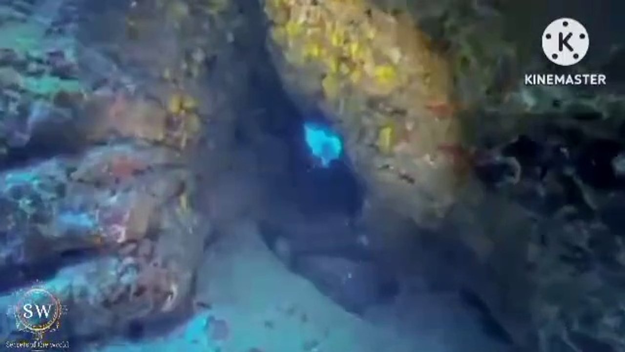 "Mysterious discoveries that the world has fail...