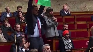 French MP raises Palestinian flag