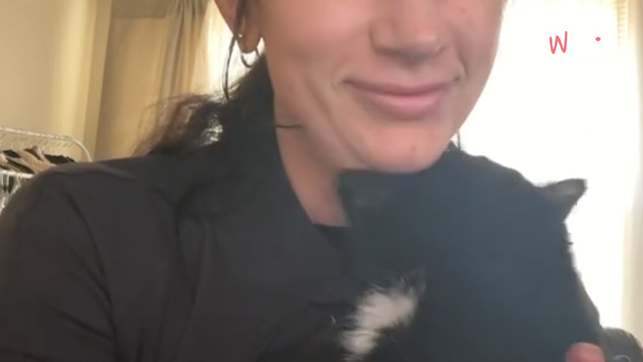 Elle adopte un chat mourant dont personne ne veut : l’annonce du vétérinaire la fait fondre en larmes