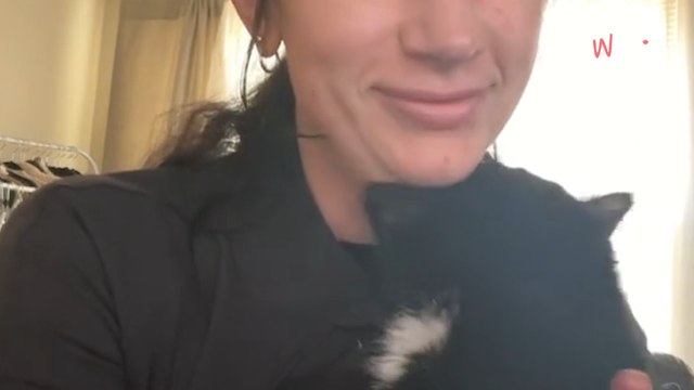 Elle adopte un chat mourant dont personne ne veut : l’annonce du vétérinaire la fait fondre en larmes