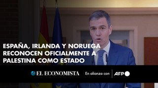 España, Irlanda y Noruega reconocen oficialmente a Palestina como Estado