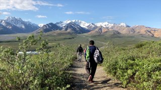 Take a Trip to a National Park This Summer!