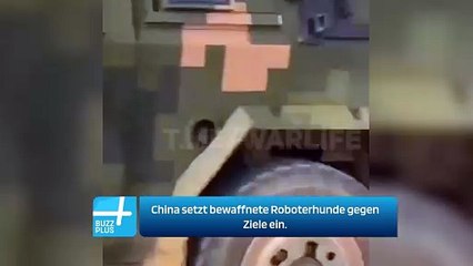 China setzt bewaffnete Roboterhunde gegen Ziele ein.