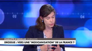 Charlotte d’Ornellas : «Nous sommes en voie de mexicanisation de la France».