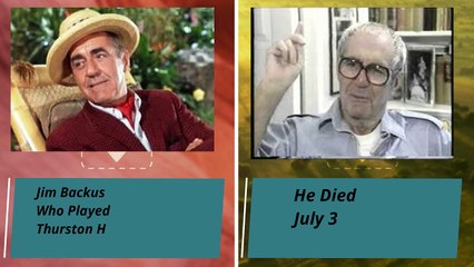 Gilligan's Island TV Series Cast Then And Now 2024