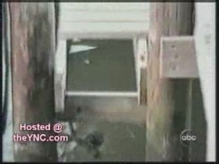 Understanding Reasoning Processes 🧠