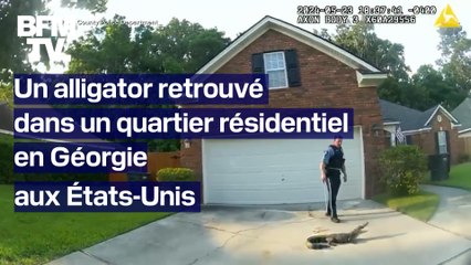 Descargar video: États-Unis: un alligator retrouvé dans un quartier résidentiel en Géorgie