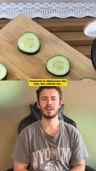 Comment se débarasser des rats et cafards 