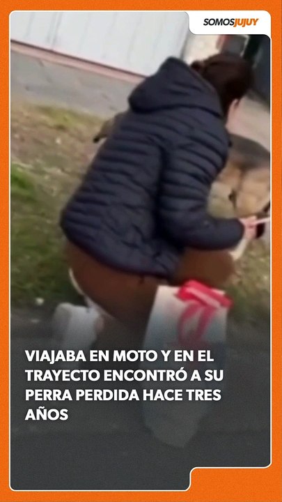 perra ok