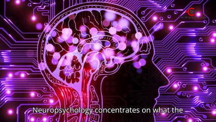 How Much of Your Brain Do You Actually Use? 10% Myth education 2024